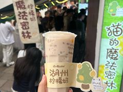 -猫的魔法密林(衣裳街店)