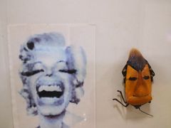 -上海大自然野生昆虫馆(东方明珠·爬宠昆虫探索中心)