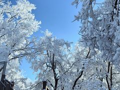 -中旅松花湖滑雪场