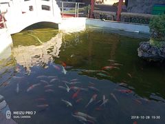 -八姑农庄·广府西江菜·云南野生菌