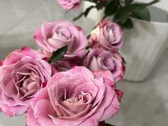 -循礼门鲜花花市(武汉循礼门店)