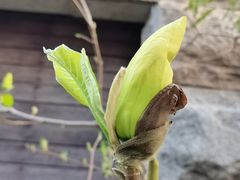 -天津东丽湖风景区