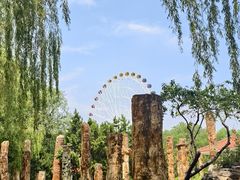 -石家庄市植物园