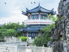 -广东花都湖国家湿地公园