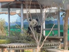 -苏州太湖国家湿地公园