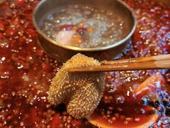 -巴蜀大宅门火锅(川音店)