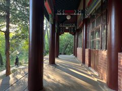 -灵谷景区