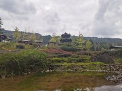 -梭布垭石林景区