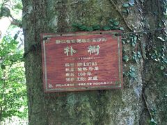 -普陀山风景名胜区-法雨禅寺