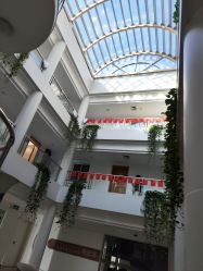 -上海交通大学医学院附属上海儿童医学中心(陆家嘴总院区)