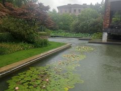 -青枫公园