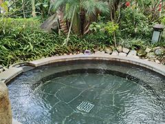 -水底山庄园温泉