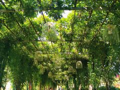 -武汉紫薇都市田园