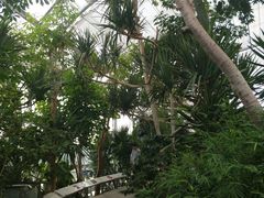 -北京植物园-展览温室