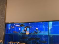 -顺峰顺水顺德菜(第一百货店)