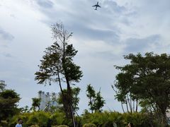 -宝安西湾红树林湿地公园