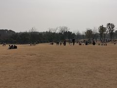 -盘龙城遗址博物院