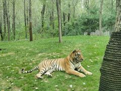 -北京野生动物园