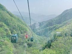 -王顺山国家森林公园