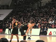 -福建省奥林匹克体育中心体育馆