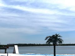 -武清南湖绿博园