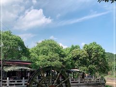 -红山村