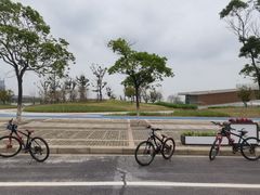 -春花秋色城市公园