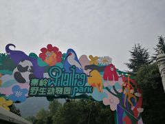 -西安秦岭野生动物园