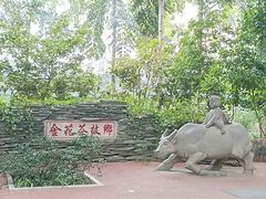 -金花茶公园