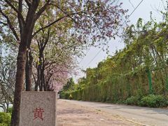 -南丰汇(新港东路店)