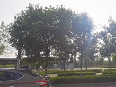 -伊犁河风景区
