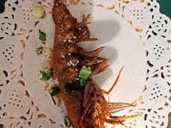 -前海沿·青岛菜(大拇指广场石老人店)