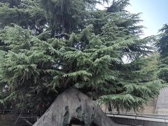 -侵华日军南京大屠杀遇难同胞纪念馆