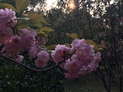 -堤角公园