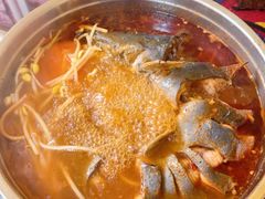 -弘烨 贵州酸汤 鱼火锅(东财店)