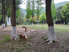 -宝岩生态观光园