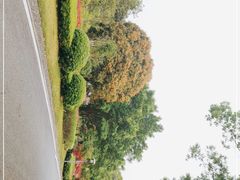 -福建鲤鱼洲酒店