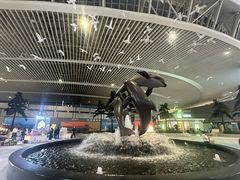 -青岛胶东国际机场