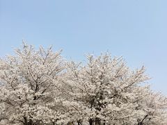 -苏州上方山国家森林公园