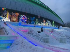 -沈阳奥体冰雪嘉年华