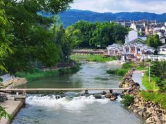 -九龙江国家森林公园