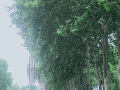 -达活泉公园