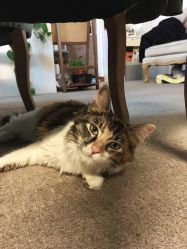 -尚美日式美甲美睫工作室