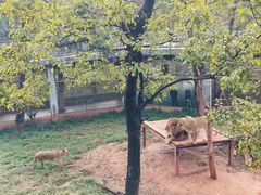 -昆明动物园