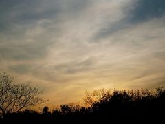 -宜兴龙背山森林公园