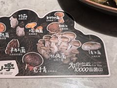 -芸山季·云南野生菌火锅(宝能环球汇店)