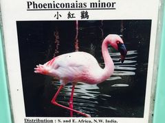 -九龙公园