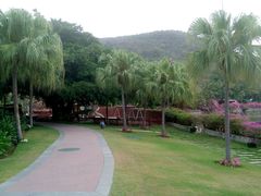 android_upload_pic-三亚亚龙湾凯莱仙人掌度假酒店