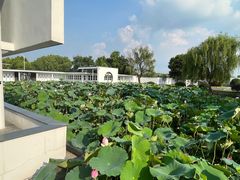 -费孝通江村纪念馆