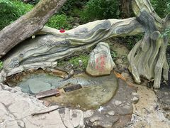 -大青沟风景区